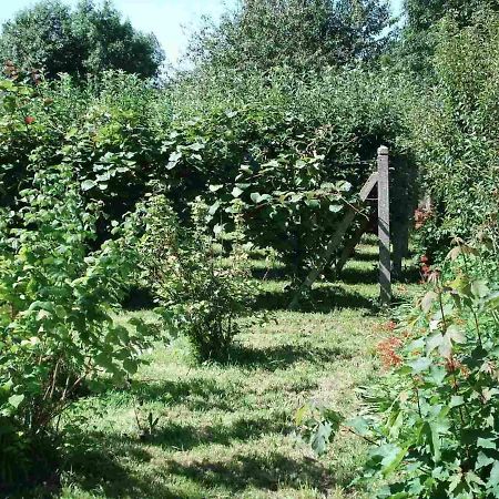 Le Clos Des Tilleuls La Vendelée Exteriör bild
